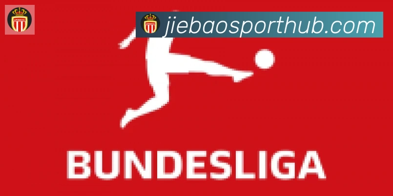 捷报比分合作伙伴